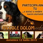 12 LUGLIO 2015, secondo raduno delle PICCOLE DOLOMITI. Un momento piacevole per riabbracciare i nostri cuccioli e confrontarci con Veterinari oltre che trascorrere una giornata insieme!