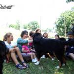 12 LUGLIO 2015, secondo raduno delle PICCOLE DOLOMITI. Un momento piacevole per riabbracciare i nostri cuccioli e confrontarci con Veterinari oltre che trascorrere una giornata insieme!