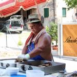 12 LUGLIO 2015, secondo raduno delle PICCOLE DOLOMITI. Un momento piacevole per riabbracciare i nostri cuccioli e confrontarci con Veterinari oltre che trascorrere una giornata insieme!