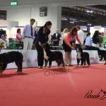Raduno Esposizione Mondiale ed Esposizione Mondiale Canina MILANO 2015