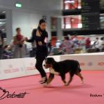 Raduno Esposizione Mondiale ed Esposizione Mondiale Canina MILANO 2015