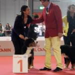 Raduno Esposizione Mondiale ed Esposizione Mondiale Canina MILANO 2015