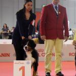 Raduno Esposizione Mondiale ed Esposizione Mondiale Canina MILANO 2015