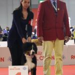Raduno Esposizione Mondiale ed Esposizione Mondiale Canina MILANO 2015