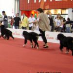 Raduno Esposizione Mondiale ed Esposizione Mondiale Canina MILANO 2015