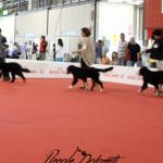 Raduno Esposizione Mondiale ed Esposizione Mondiale Canina MILANO 2015