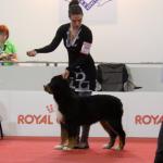 Raduno Esposizione Mondiale ed Esposizione Mondiale Canina MILANO 2015