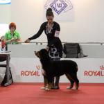 Raduno Esposizione Mondiale ed Esposizione Mondiale Canina MILANO 2015