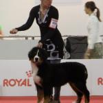 Raduno Esposizione Mondiale ed Esposizione Mondiale Canina MILANO 2015