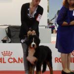 Raduno Esposizione Mondiale ed Esposizione Mondiale Canina MILANO 2015