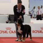 Raduno Esposizione Mondiale ed Esposizione Mondiale Canina MILANO 2015