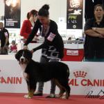 Raduno Esposizione Mondiale ed Esposizione Mondiale Canina MILANO 2015