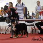 Raduno Esposizione Mondiale ed Esposizione Mondiale Canina MILANO 2015