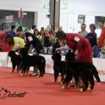 Raduno Esposizione Mondiale ed Esposizione Mondiale Canina MILANO 2015