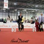Raduno Esposizione Mondiale ed Esposizione Mondiale Canina MILANO 2015