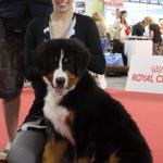 Raduno Esposizione Mondiale ed Esposizione Mondiale Canina MILANO 2015