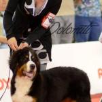 Raduno Esposizione Mondiale ed Esposizione Mondiale Canina MILANO 2015