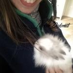 coniglietta curiosa